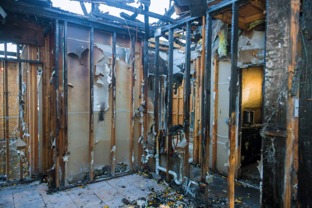 Professional Fire Damage Removal technician working in Riverdale Park, CA
